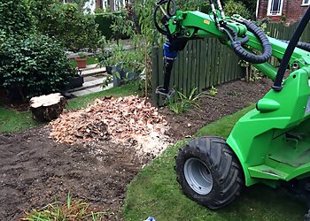 S Thompson Tree Services