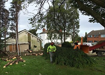 S Thompson Tree Services