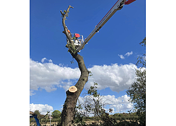 S Thompson Tree Services Wakefield