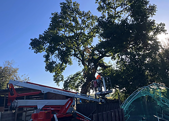S Thompson Tree Services Wakefield
