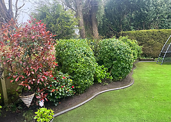 SWP Garden Maintenance