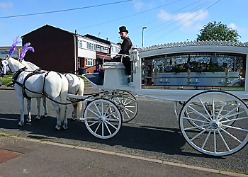 S. Webb & Son Limited