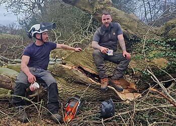 Sabre Tree Surgery Ltd