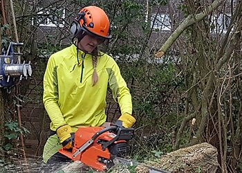 Sabre Tree Surgery Ltd