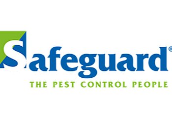 Caerphilly pest control Safeguard Pest Control image 1