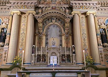 Saint Charles Borromeo