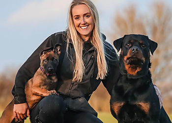 Saint K9 Training  Saint K9 Training