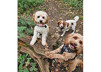 Sally's Personal Pet Services