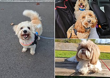 Sally's Personal Pet Services