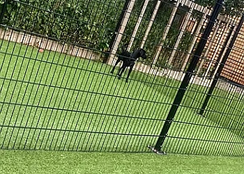 Salthouse Pet Boarding