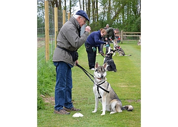 3 Best Dog Trainers in Crewe, UK - ThreeBestRated