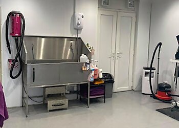 Sammys Pet Parlour Ltd