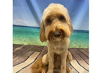 Sammys Pet Parlour Ltd