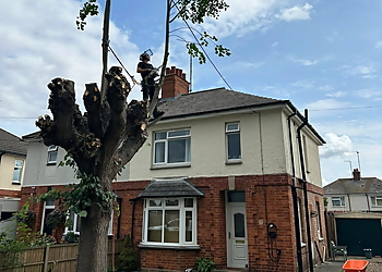 Samuel George Tree Services