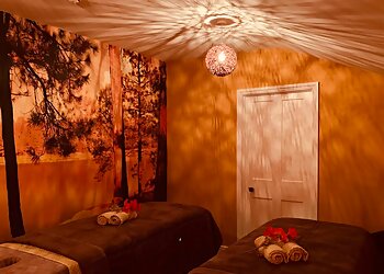 Sandpiper Pool and Spa