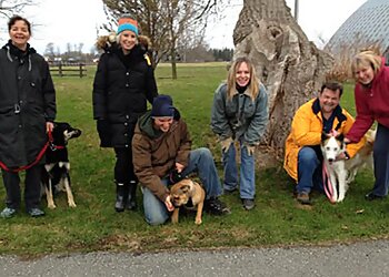 Sandra Brown Canine Interpreter