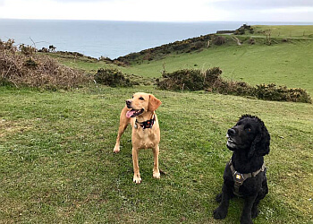 Sandy Paws & Waggy Tails
