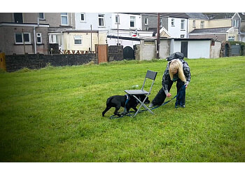 Sarah Groves Dog Training