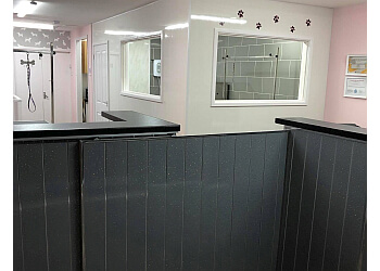 Scallywags Dog Grooming