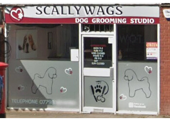 Scallywags Dog Grooming Studio