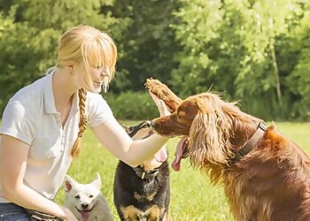 Scamps & Champs Stockport