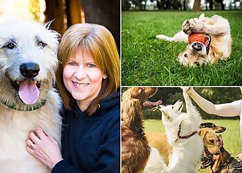 Scamps & Champs Stockport