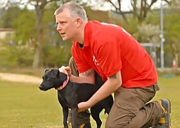 Schooling 4 Dogs & Humans