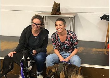 Schooling 4 Dogs & Humans