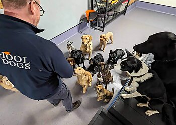 School of Dogs Limited