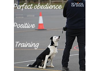 School of Dogs Limited