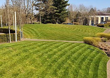 Scofell Landscapes Ltd