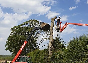 Scotton Tree Care