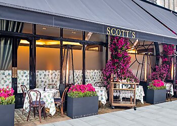 Scott's
