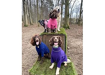 North Lincolnshire dog walkers Scouting for Dogs  image 1