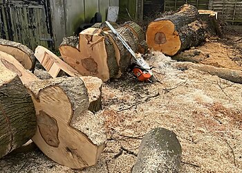 Sedgley Tree Service