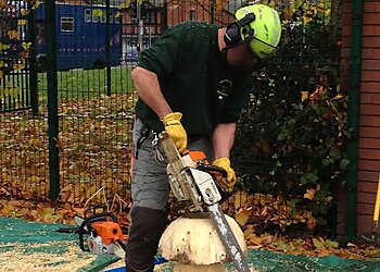Sedgley Tree Service