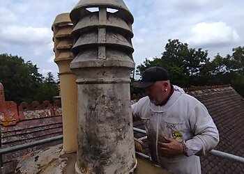 Sene Pest Control Kent