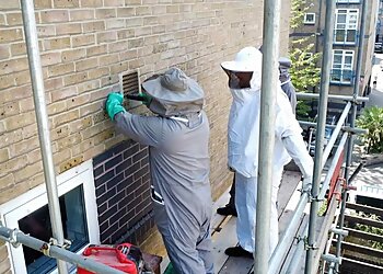 Sene Pest Control Kent