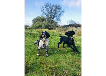 Sentient Dogs Training & Behaviour