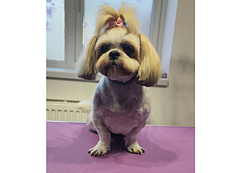 Shabby to CHIC Dog Grooming Carlisle Shabby to CHIC Dog Grooming Carlisle