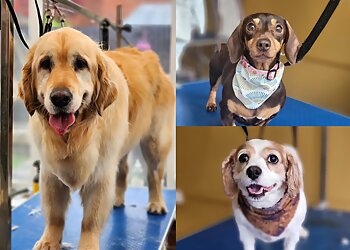 Shampoochies Pet Grooming