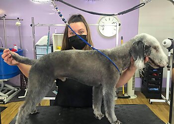 Shampoochies Grooming Parlour