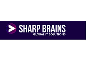 Sharp Brains 