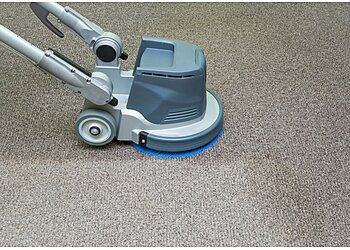 Shaun Taylor Carpet & Upholstery Cleaning