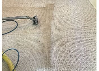 Shaun Taylor Carpet & Upholstery Cleaning