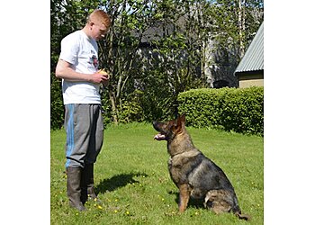 Sheffield Dog School
