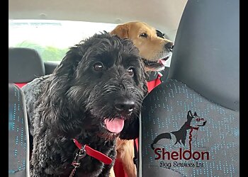 Sheldon Dog Services Ltd.