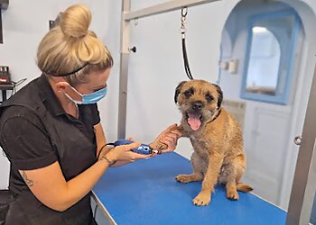 Shelley's Poochie Parlour