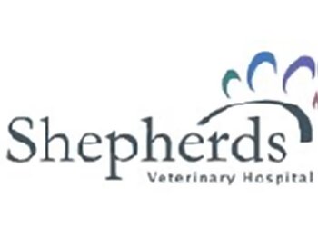 Shepherds The Vets