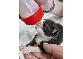 Sheriffs Highway Vets